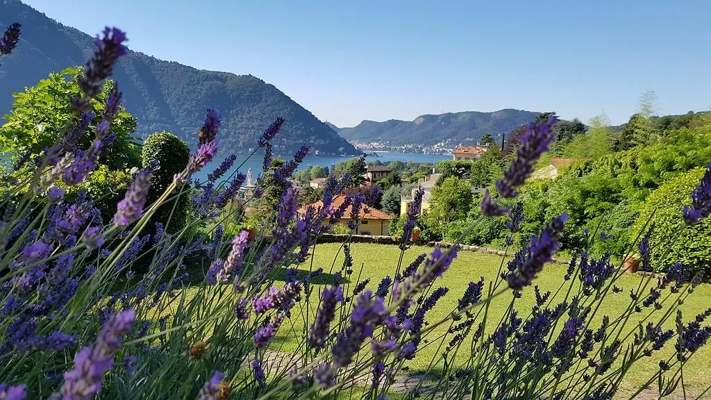 Apartment La Finestra Sul Lago Cernobbio Italy